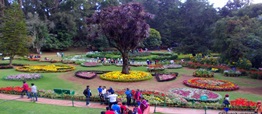 ooty tour and travel